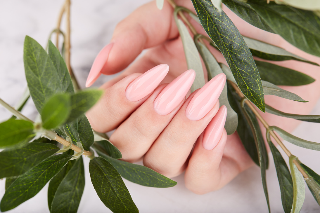 Hand with long artificial manicured nails colored with pink nail polish